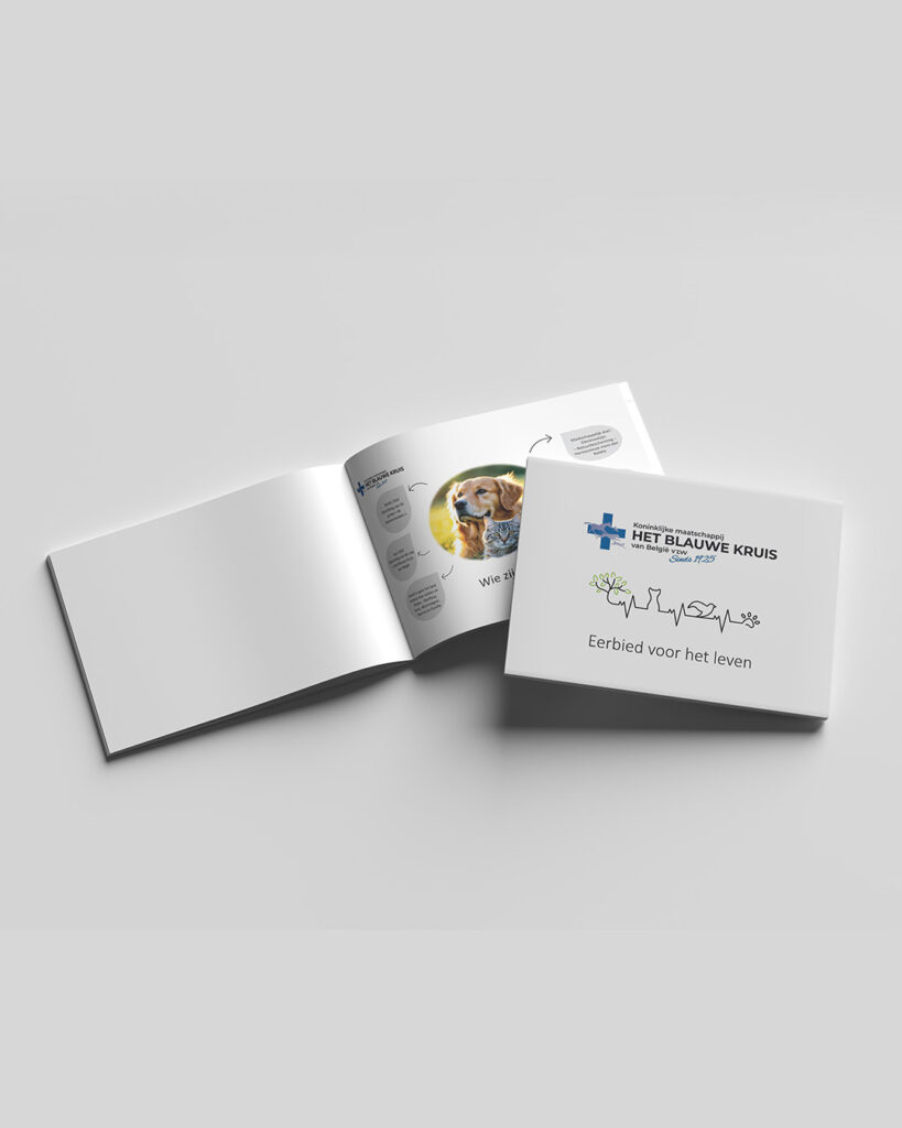 mockup croix bleu02